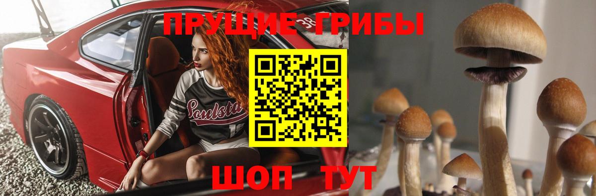 Галлюциногенные грибы GOLDEN TEACHER Ивантеевка